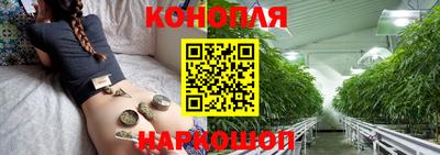 прущий лед Гай
