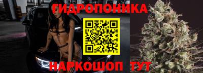 альфа пвп Гатчина