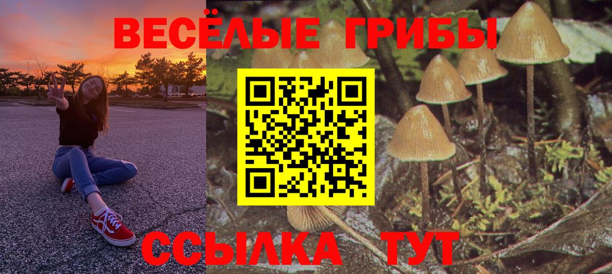 Галлюциногенные грибы ЛСД Омск