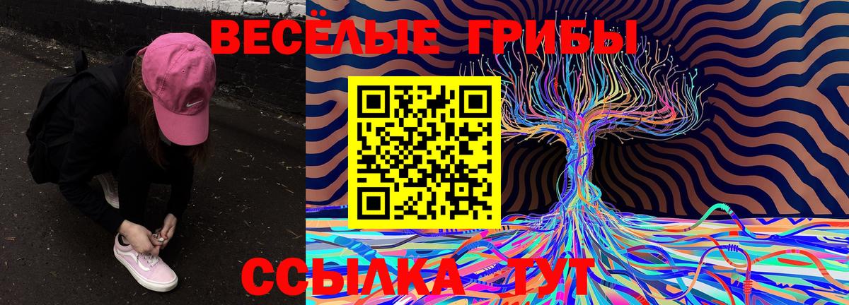 Галлюциногенные грибы Psilocybine cubensis  Вход с VPN  Омск 